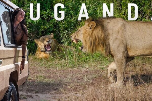 A 4-Day Immersive Uganda Adventure
