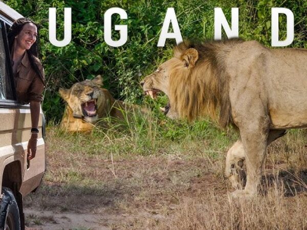 A 4-Day Immersive Uganda Adventure