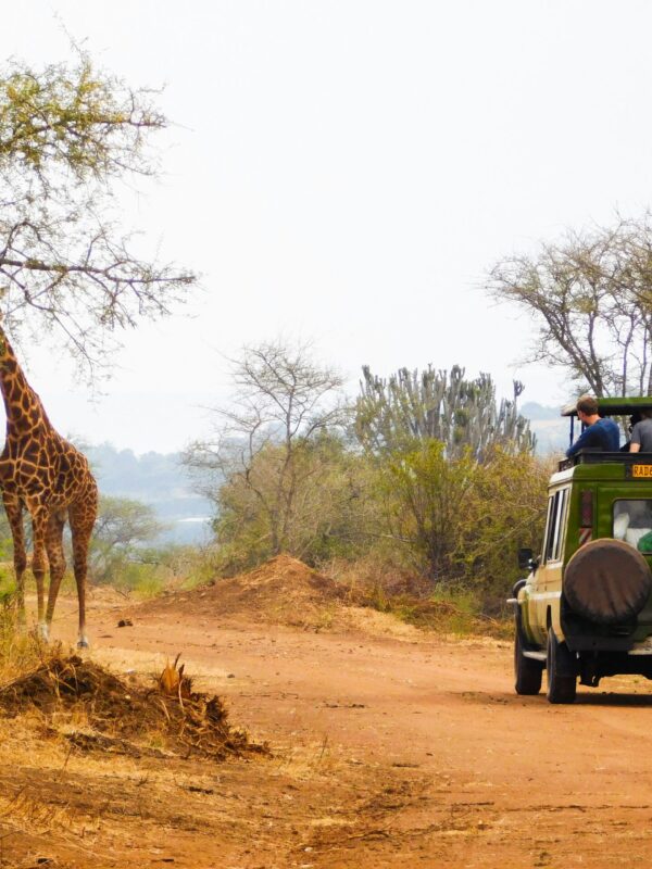 4 Days Nyungwe and Akagera Safari