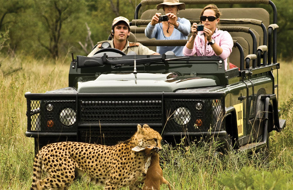 Game Drives