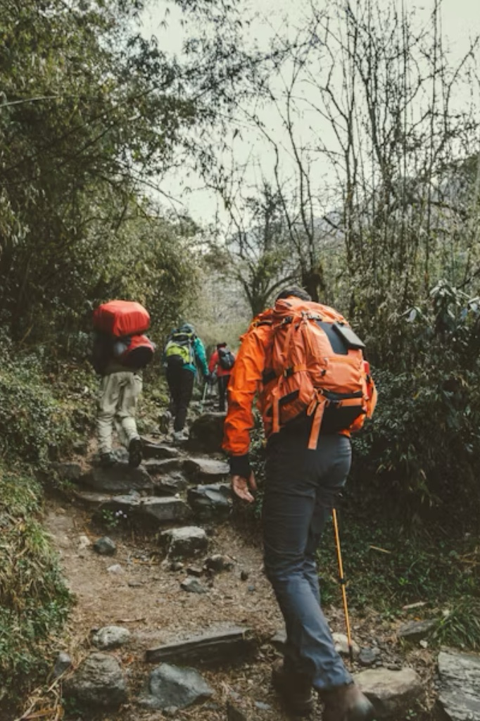 Hiking boots for jungle trekking
