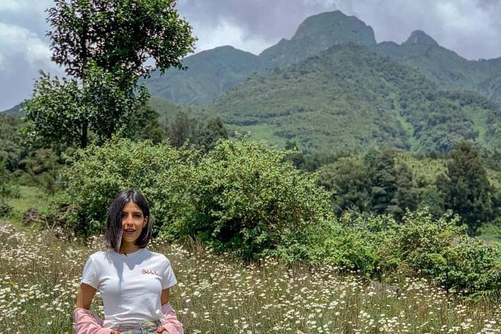 Rwanda Gorilla Safari experience