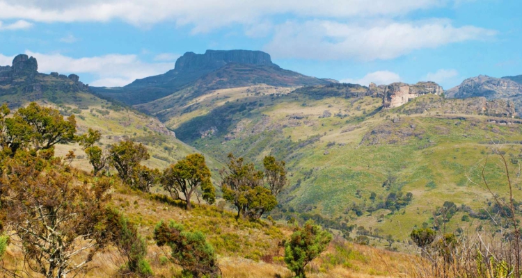 8 Days Mount Elgon National Park Safari
