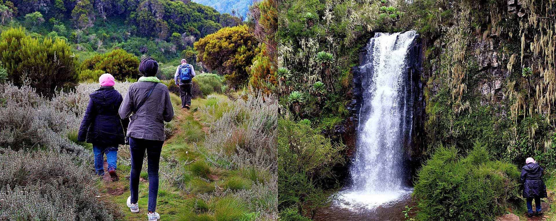 Hiking Mount Kilimambogo is the most famous activity in Ol Donyo Sabuk National Park and one of the top hiking experiences near Nairobi.
