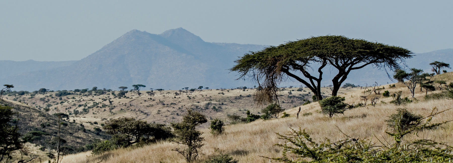 Mount Kenya National Park is located in central Kenya, approximately 175 kilometers northeast of Nairobi, the capital city of Kenya. The park surrounds Mount Kenya and stretches across several counties including Meru, Nyeri, Embu, Kirinyaga, and Tharaka Nithi. Its central location makes it one of the most accessible mountain safari destinations in Kenya.

