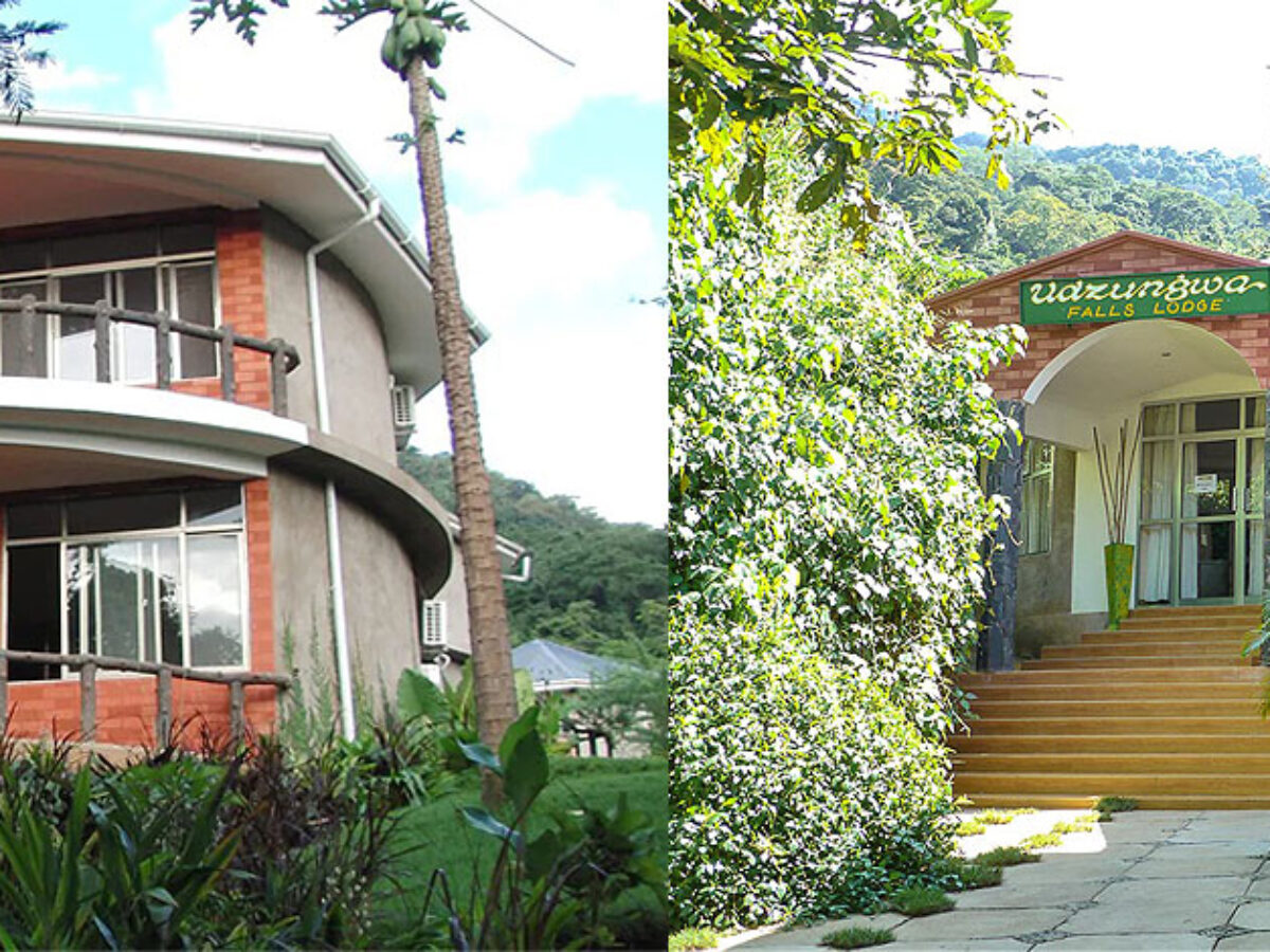 Accommodation around Udzungwa Mountains National Park ranges from eco-lodges and luxury tented camps to comfortable guesthouses, budget lodges, and campsites. Most accommodations are designed to blend naturally with the rainforest environment while providing comfortable access to hiking trails, waterfalls, birdwatching areas, and park activities.
