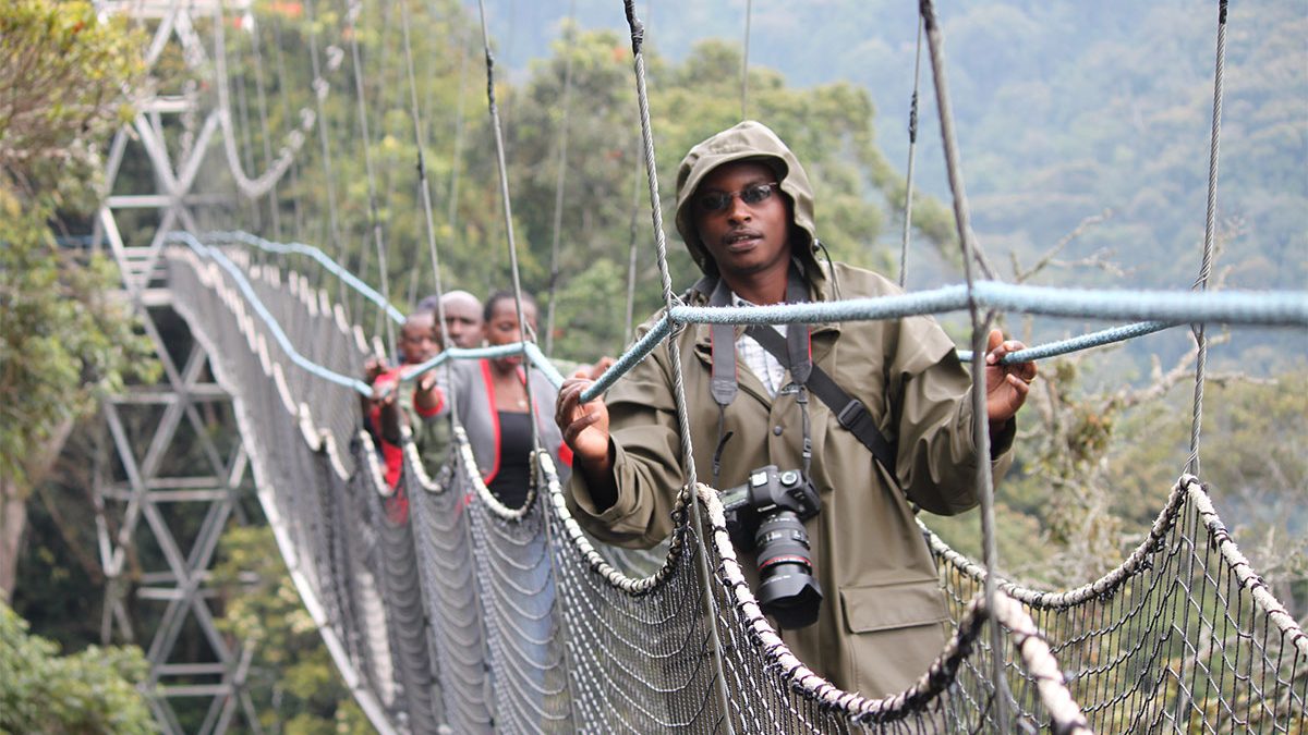 Activities in Nyungwe Forest National Park