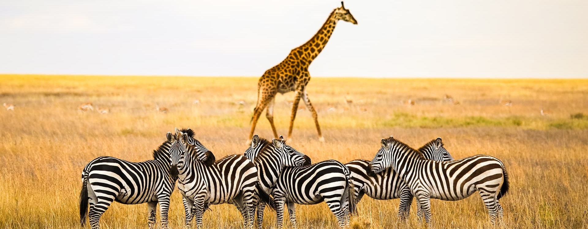 Arusha National Park