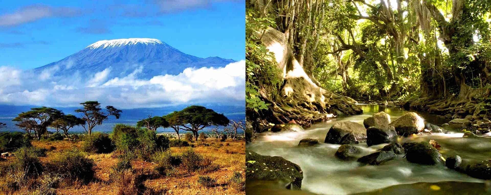 At the core of Kilimanjaro National Park lies Mount Kilimanjaro, a towering, snow-capped giant that defines the park’s identity. As the highest mountain in Africa, Mount Kilimanjaro has long been a symbol of adventure, challenge, and natural beauty. It is part of the Seven Summits, the seven tallest peaks on each continent, which adds to its prestige as one of the world’s most famous mountains.
