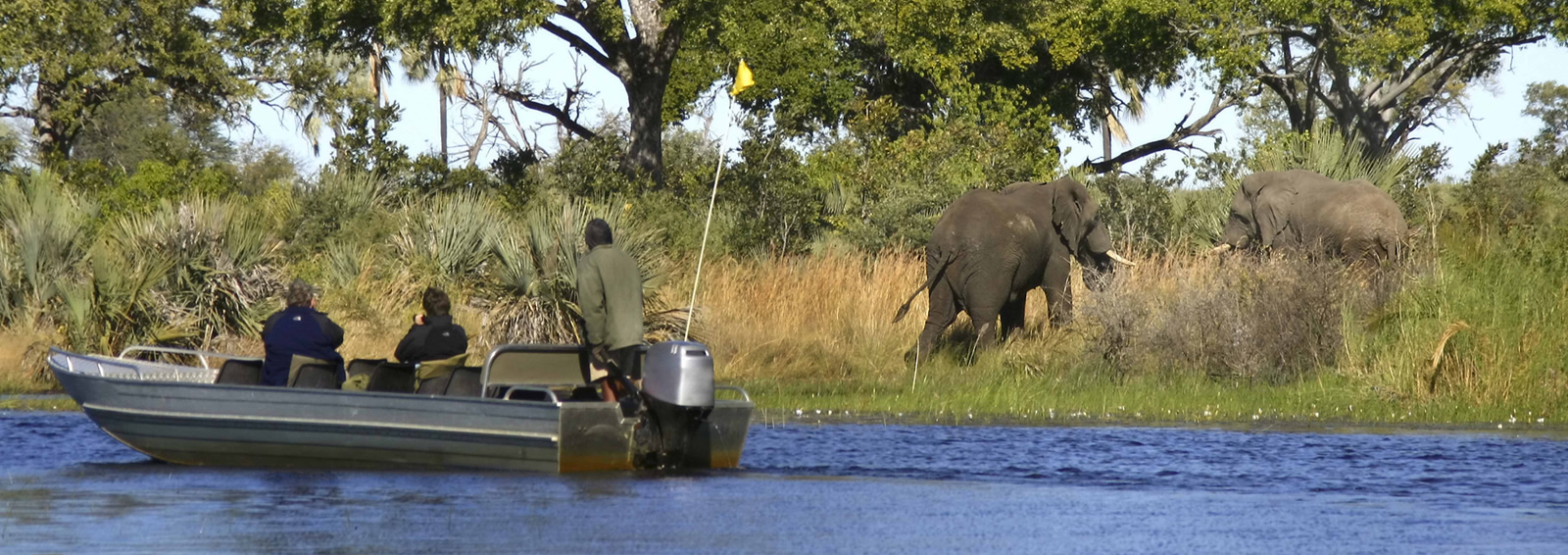 Boat cruise watching elephants at Saadani National Park