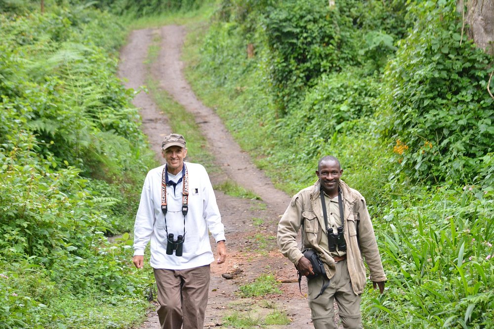 For those who want to take a slower, more immersive approach to discovering Kibale’s rich biodiversity, guided nature walks provide the perfect opportunity. These walks take visitors deep into the heart of Kibale’s dense rainforest, where they can discover a wide variety of plants, trees, insects, and smaller wildlife.
