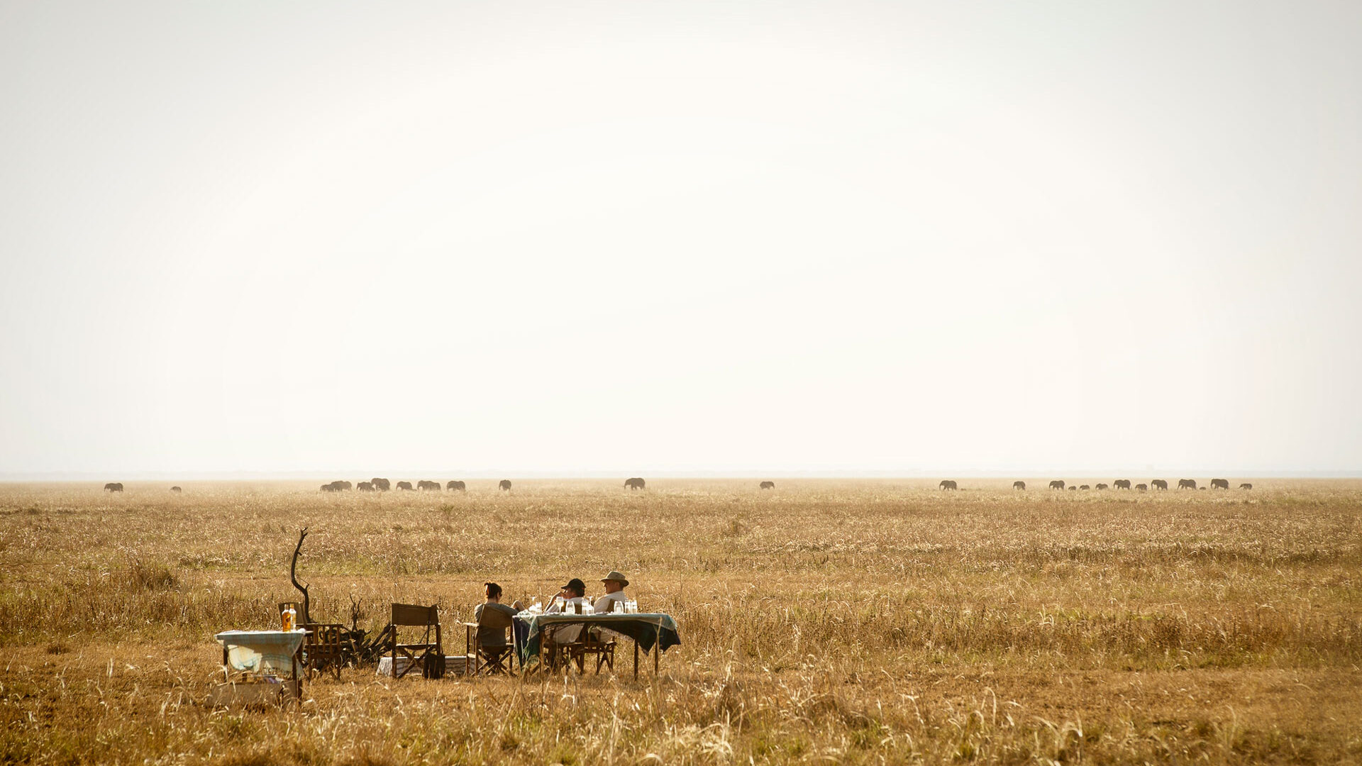 The vast floodplains are among the park’s most iconic features and serve as important wildlife gathering areas throughout the year. During the dry season, shrinking rivers and pools force animals to concentrate around remaining water sources, creating dramatic safari scenes filled with wildlife against open wilderness backdrops.
