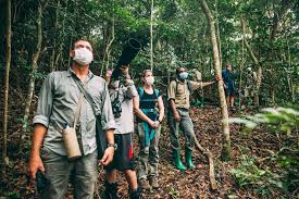 Chimpanzee trekking at Mahale Mountains National Park