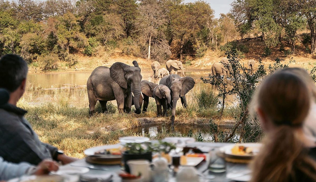 The wet season offers a completely different experience from the dry months.
