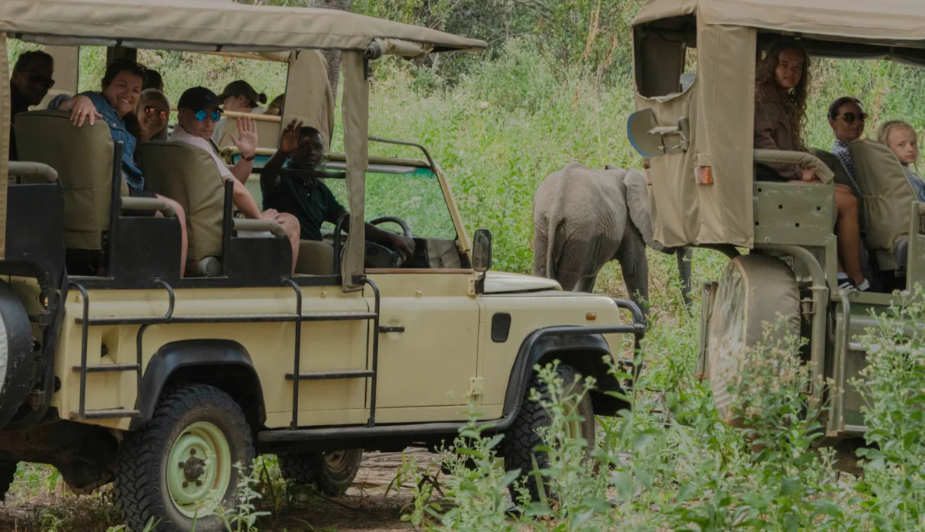 Safari game drive experience