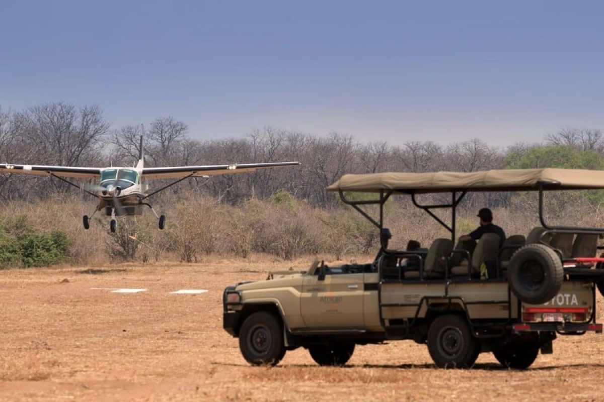 Lake Mburo National Park is ideally located between two of Uganda's most famous wildlife parks: Queen Elizabeth National Park to the southwest and Bwindi Impenetrable National Park to the southeast. This makes it an ideal stopover for travelers on a longer safari itinerary. Whether you’re heading to or from Queen Elizabeth for game drives or planning to trek for gorillas in Bwindi, Lake Mburo provides a peaceful and scenic break to unwind and experience some of Uganda’s best wildlife.
