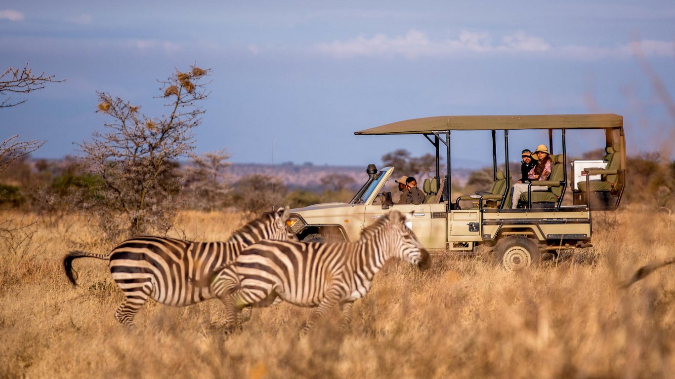 Game drive at Nyerere National Park