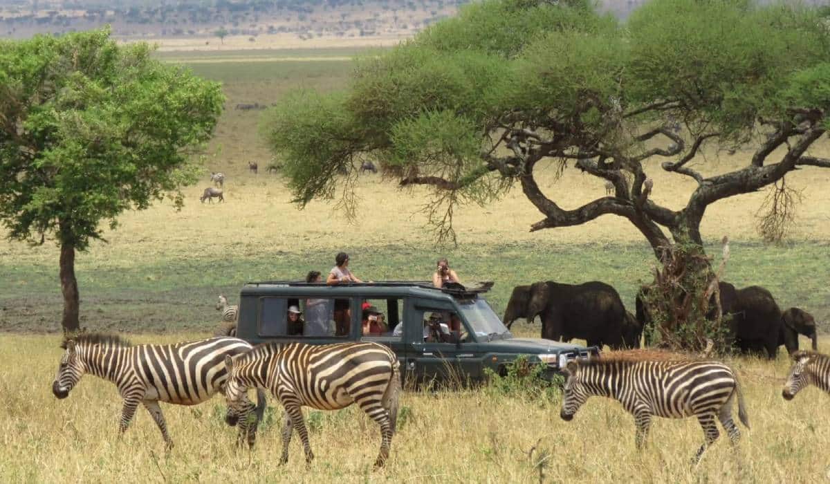 Game drive in Katavi National Park - Boots in the Jungle Safaris