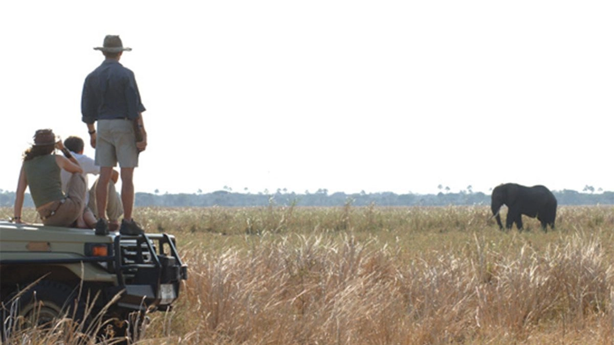 Safari game drive in Katavi National Park - Boots in the Jungle Safaris