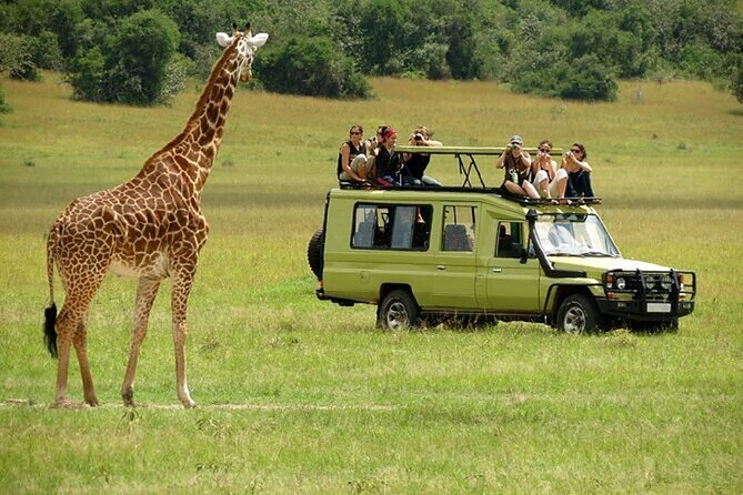 Game drive in Nairobi National Park