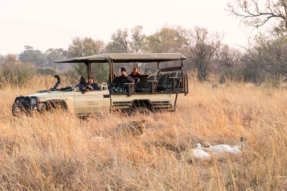 Game drive in Serengeti