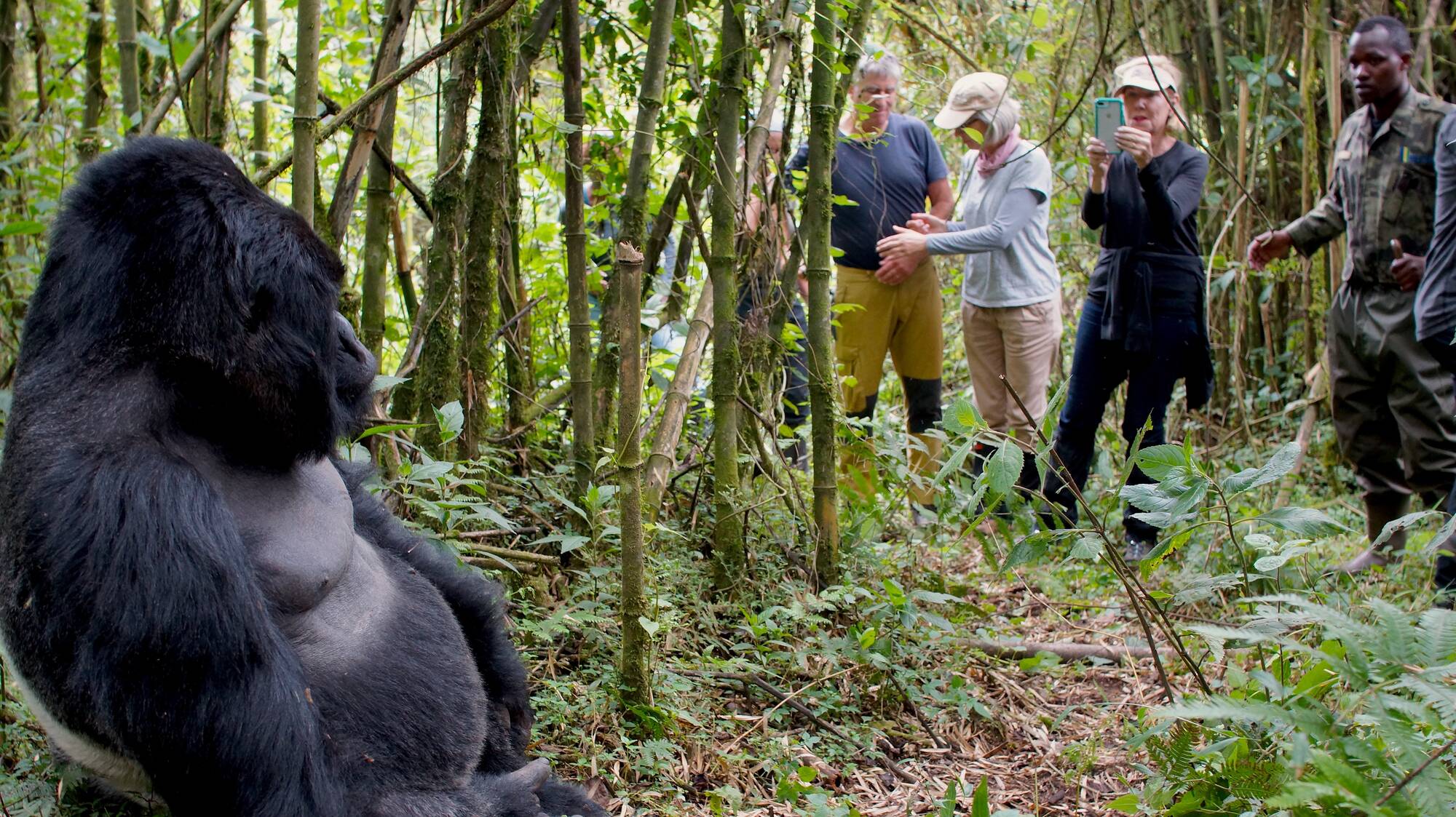 Gorilla Trekking in Rwanda guide with trekkers