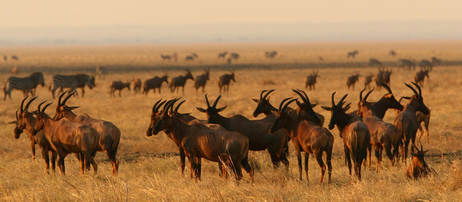 Katavi National Park Tanzania - Boots in the Jungle Safaris