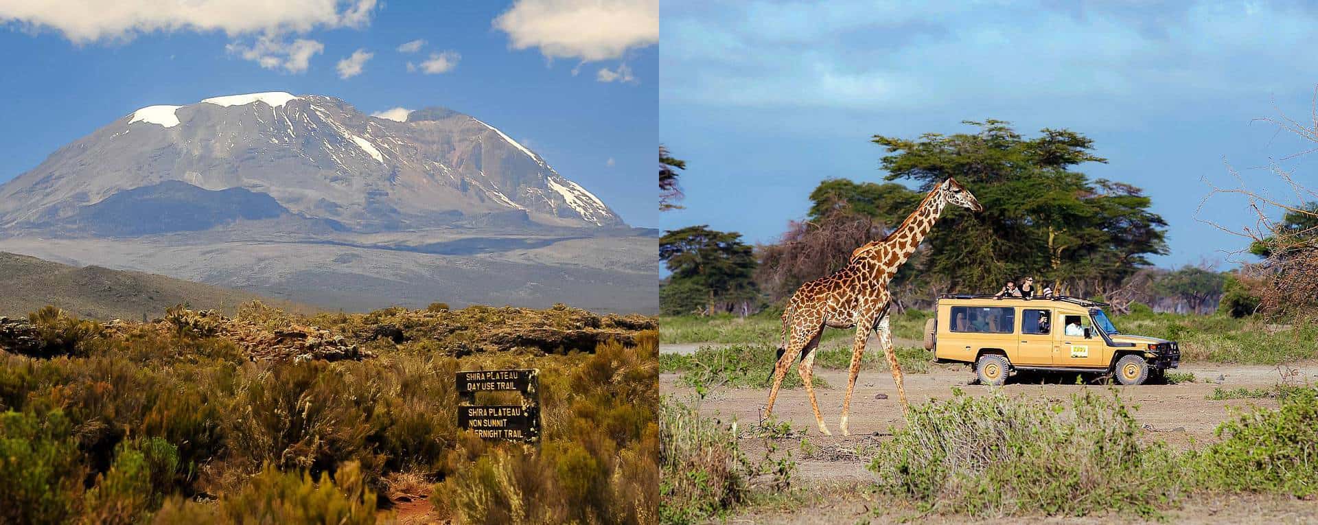 The best time to visit Kilimanjaro National Park largely depends on the type of experience you're looking for, whether it’s mountaineering, game drives, or birdwatching. Each season brings its own advantages, offering different experiences depending on the activity. Below is a guide to help you decide when to visit Kilimanjaro National Park based on your interests.