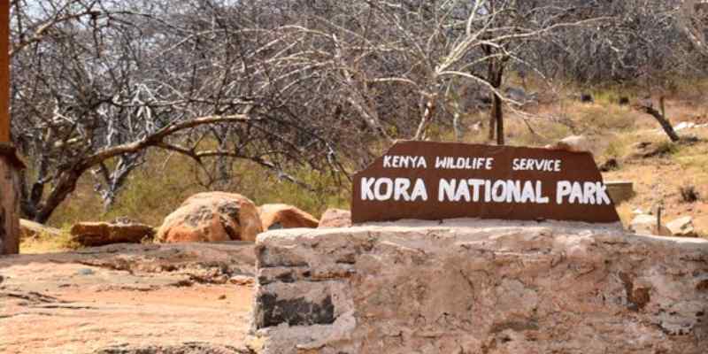 View of Kora National Park