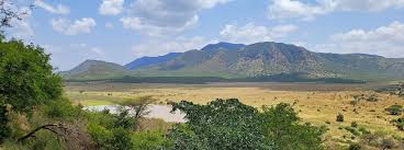 Mkomazi National Park landscape