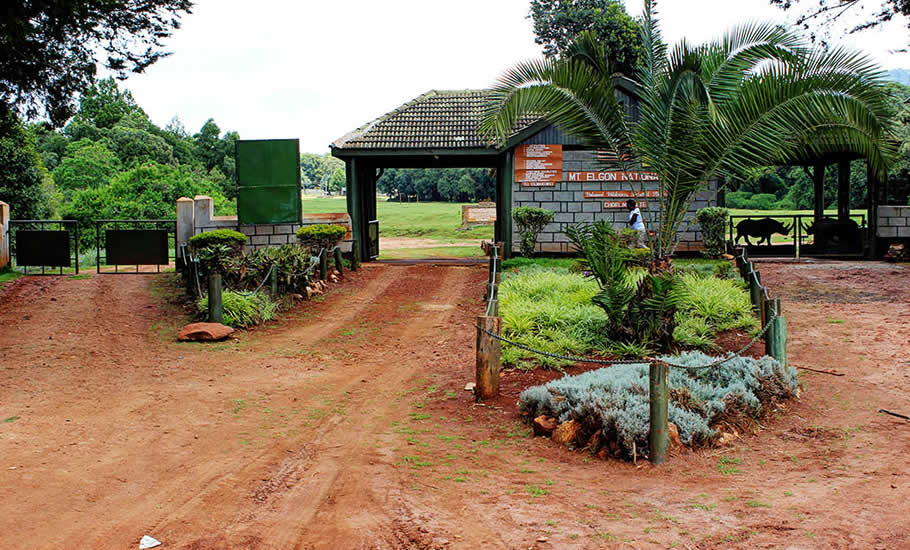 Mount Elgon National Park in Uganda