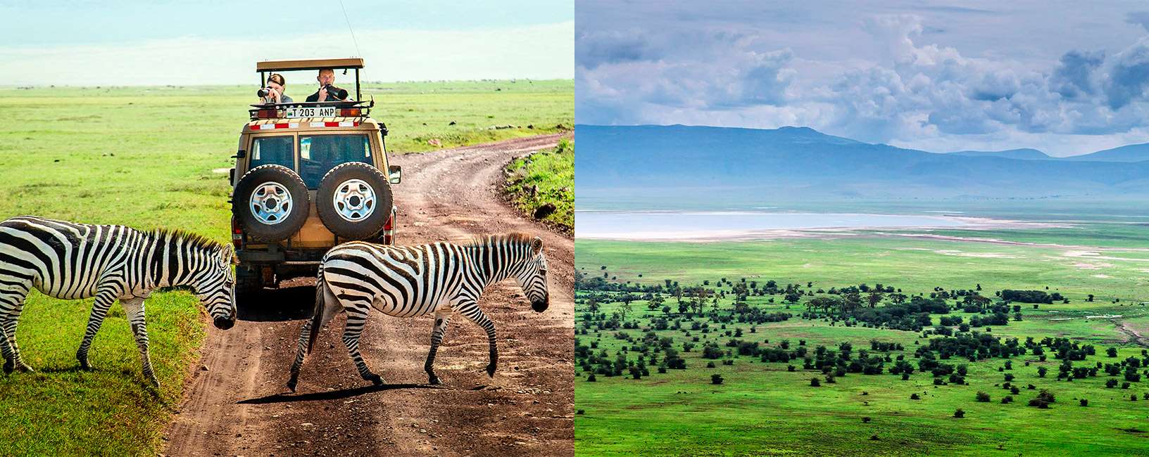 At Boots in the Jungle Safaris, we are dedicated to creating customized, unforgettable safari experiences in Ngorongoro Conservation Area. Whether you're aiming to witness the Big Five, explore the Ngorongoro Crater, or immerse yourself in Maasai culture, we offer personalized safari packages that cater to your specific interests and budget.
