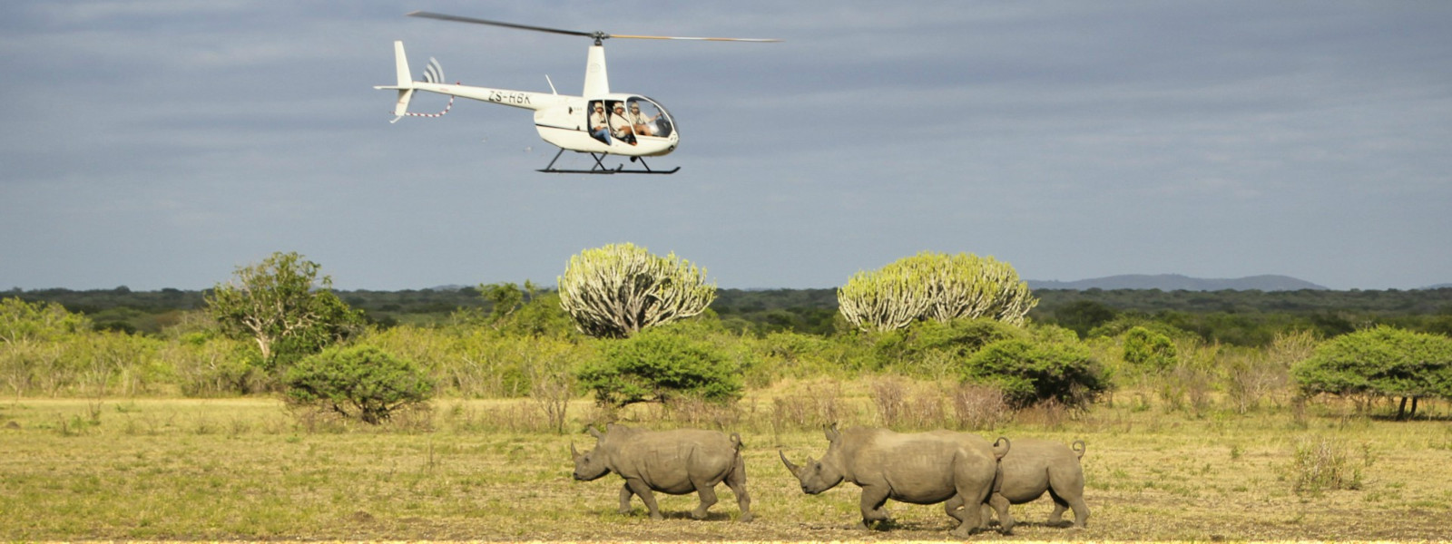 Private helicopter safari honeymoon experience observing rhinos