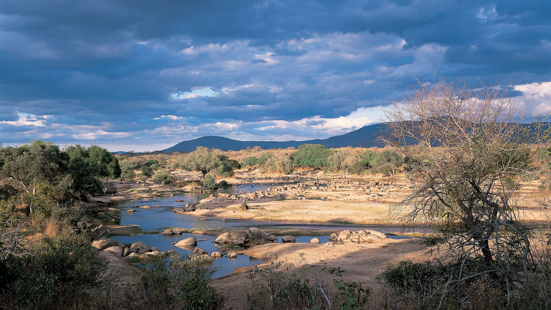 Ruaha River in Ruaha National Park