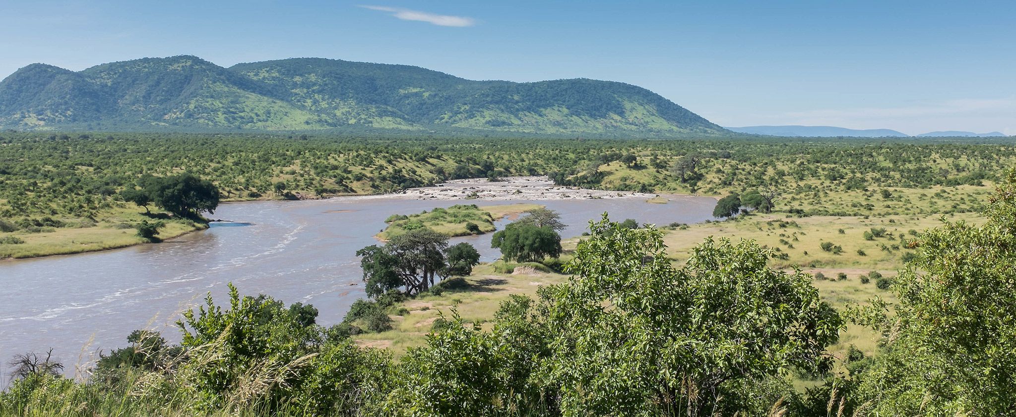 Ruaha National Park Tanzania