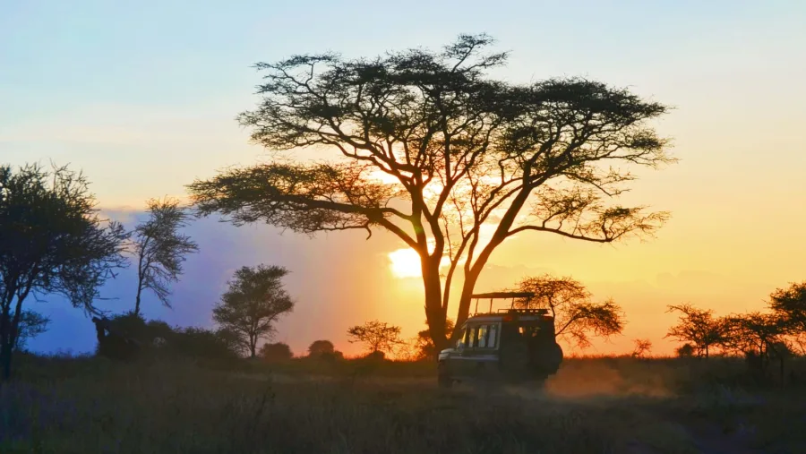 Sunset game drive at Mikumi National Park