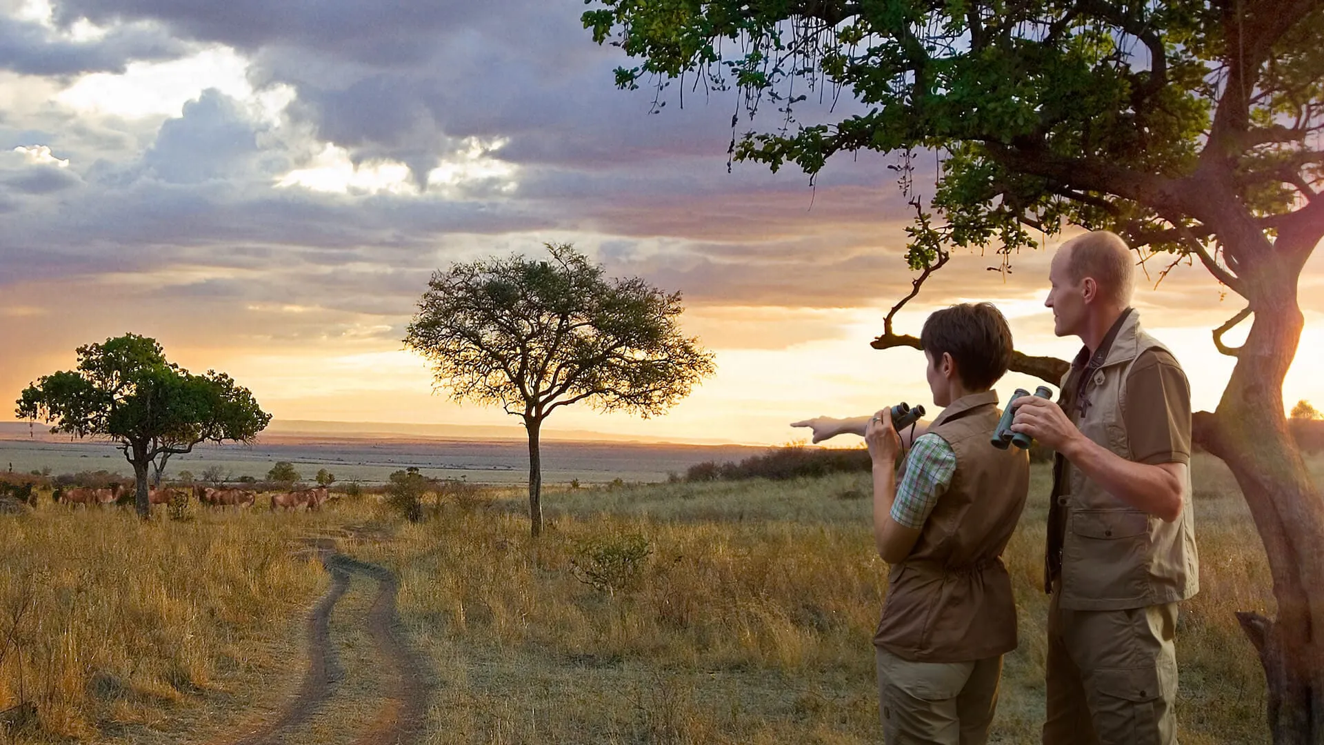 Tourists at Kora National Park