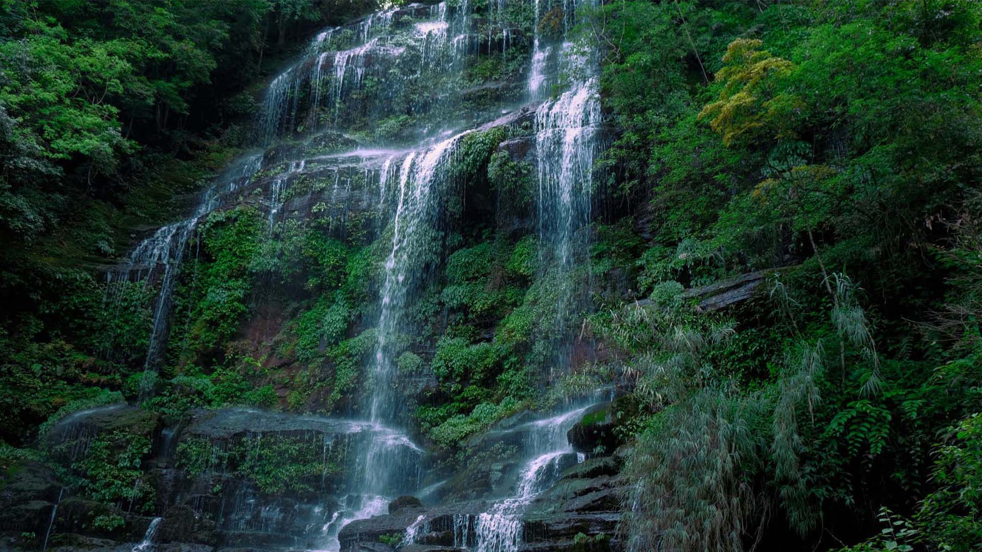 Udzungwa Mountains National Park waterfalls