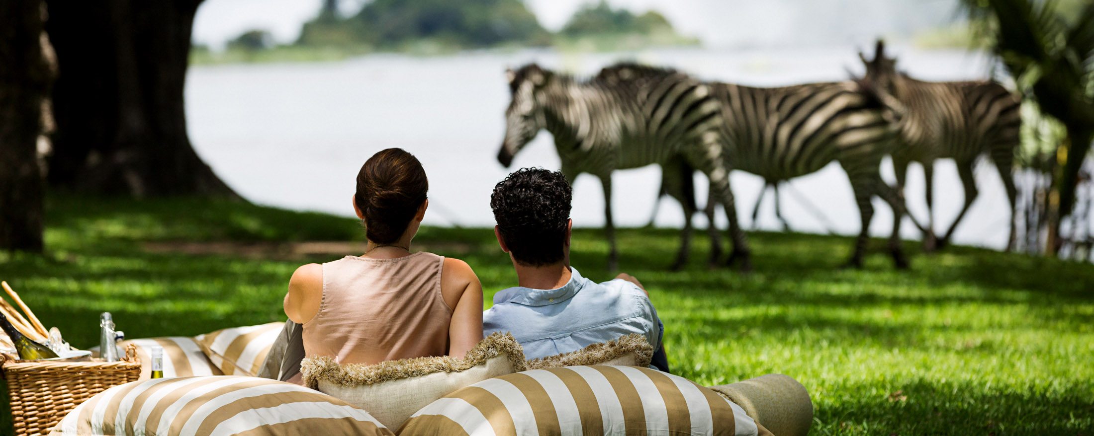 Choosing the right safari company is one of the most important decisions when planning your African adventure. A professional local operator ensures that every part of your journey, from arrival to departure, is carefully organized.
