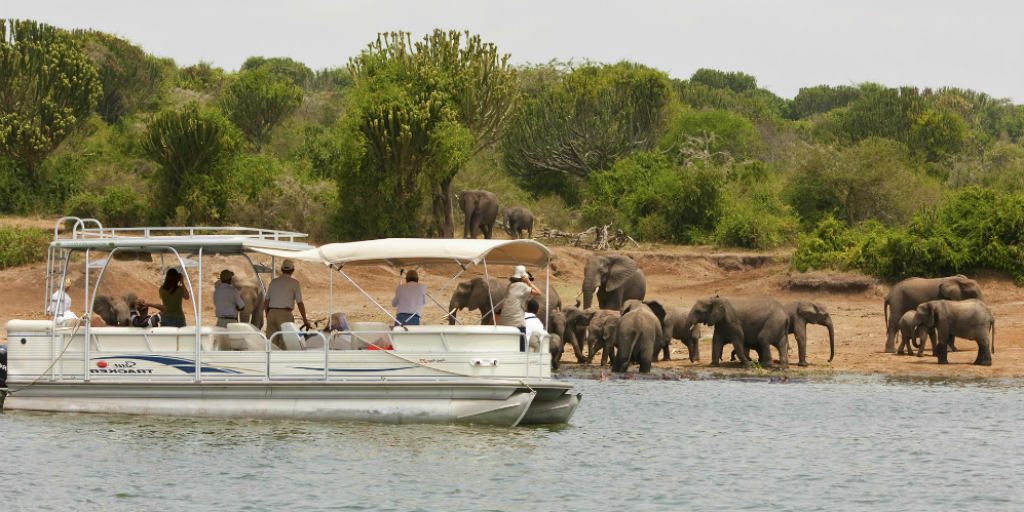 One of the unique features of Akagera National Park is its extensive network of lakes and wetlands, which makes it a perfect destination for boat safaris. Lake Ihema, one of Rwanda’s largest lakes, offers an exciting opportunity to see wildlife from a different angle. This serene lake is home to numerous species that thrive in the wetlands, including hippos, crocodiles, and water buffalo. The waters of Lake Ihema also support a wide variety of bird species, making boat safaris an excellent opportunity for wildlife photography and peaceful exploration.
