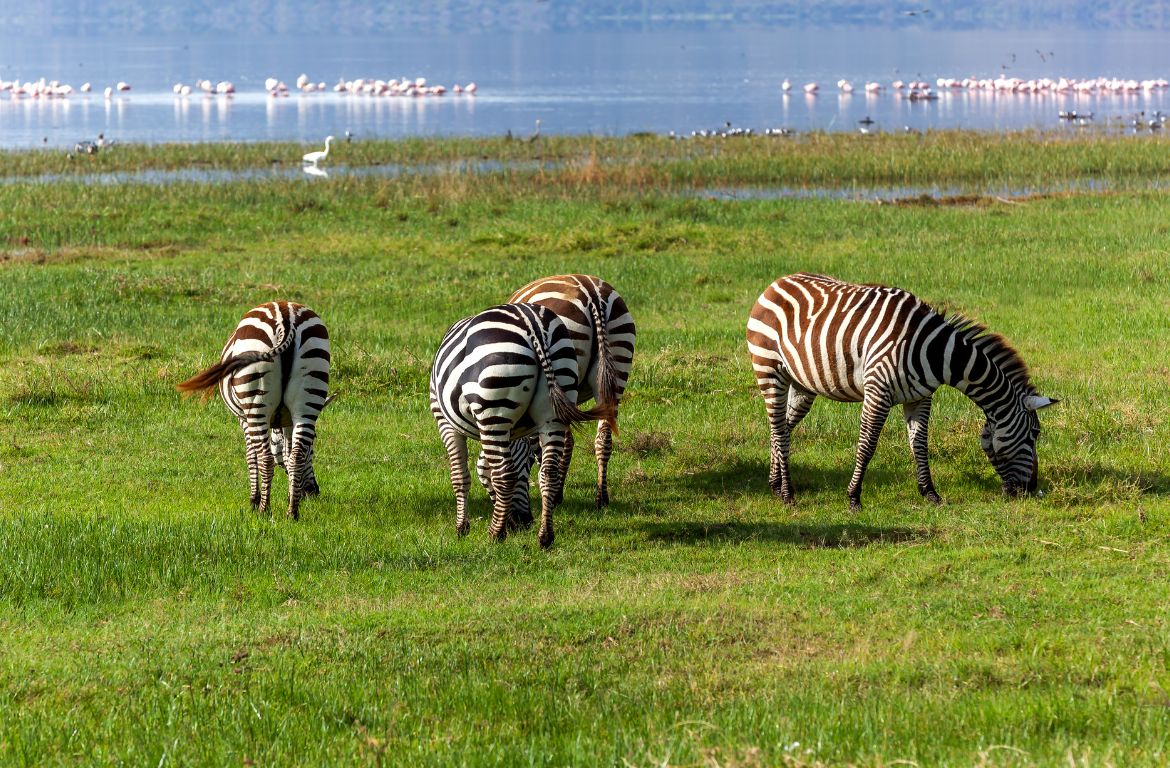 What is Lake Nakuru National Park famous for?