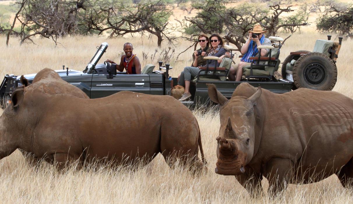 Close encounter with rhinos