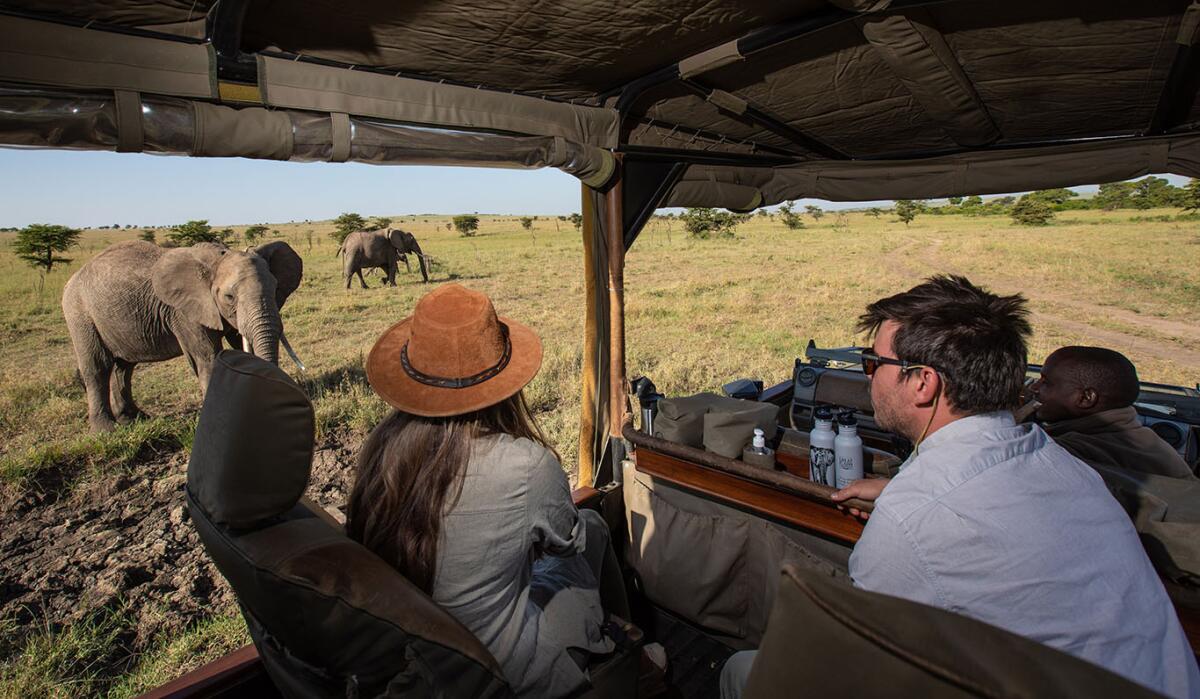 Morning Game Drives are among the best safari activities because wildlife is usually most active during the cooler hours after sunrise. Early morning safaris often begin before sunrise, allowing travelers to witness the African wilderness waking up.
