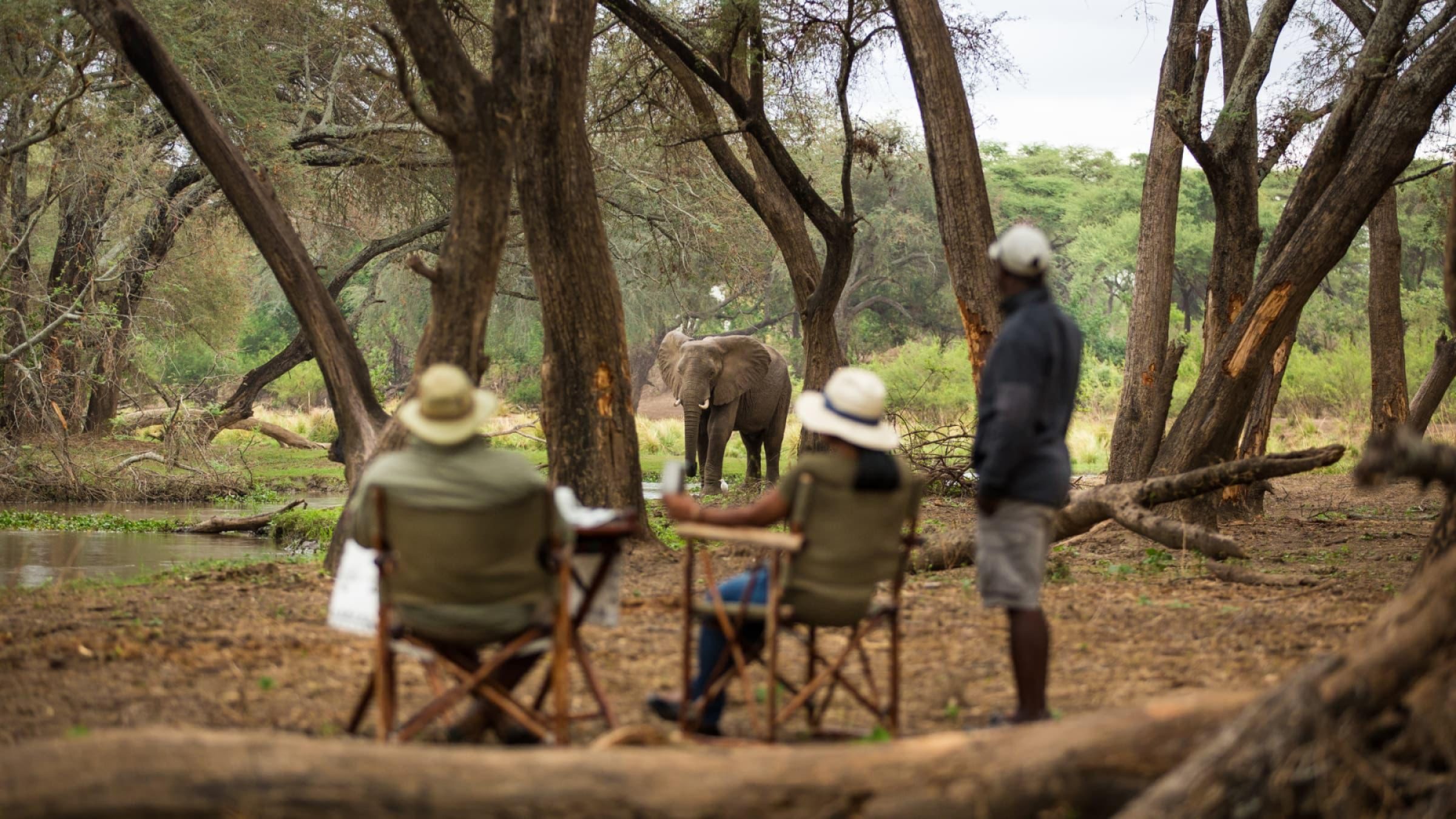 Couple enjoying a luxury Zambia honeymoon safari while watching elephants in the African wilderness.