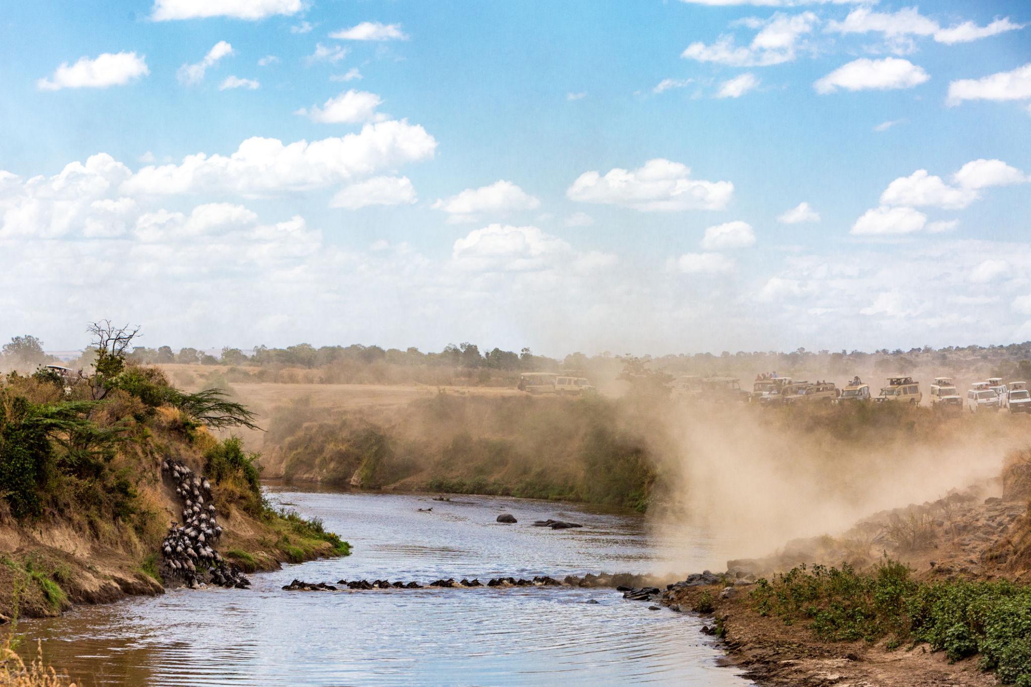 Crossing a river during Great Migration