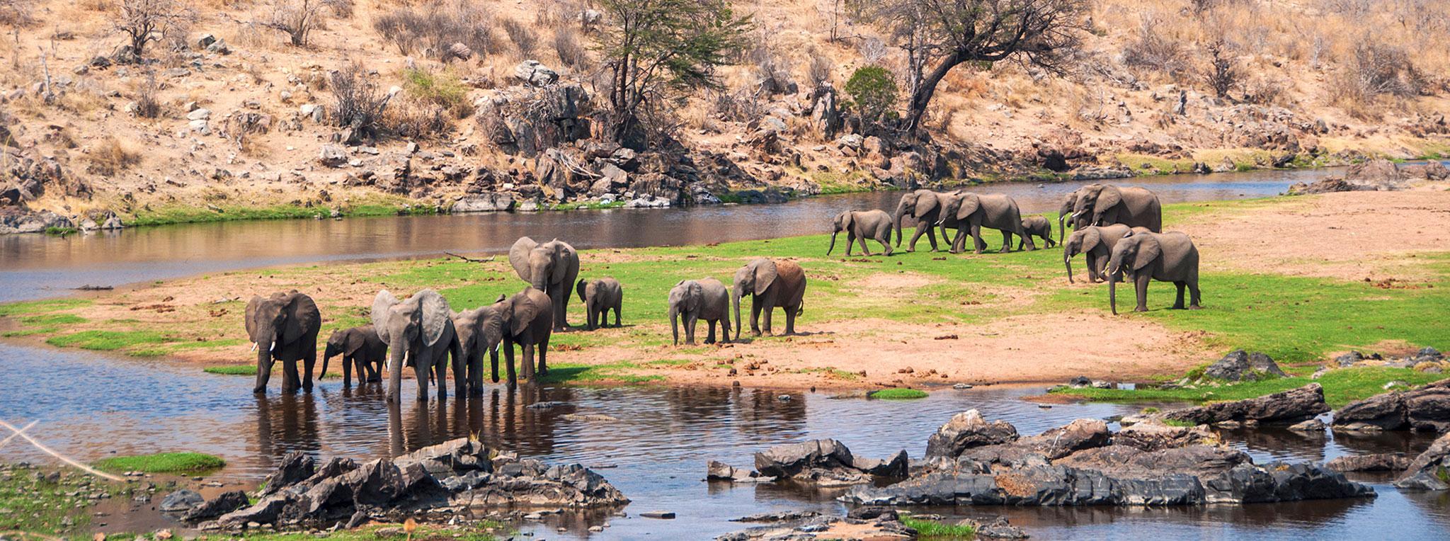 What is Ruaha National Park famous for?
