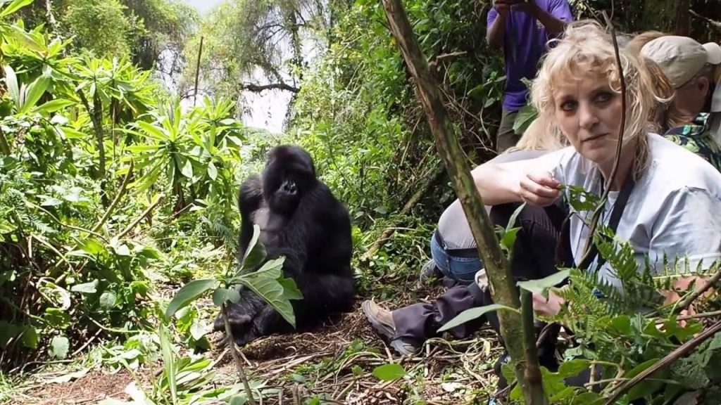 Gorilla trekking experience in Uganda with Boots in the Jungle Safaris