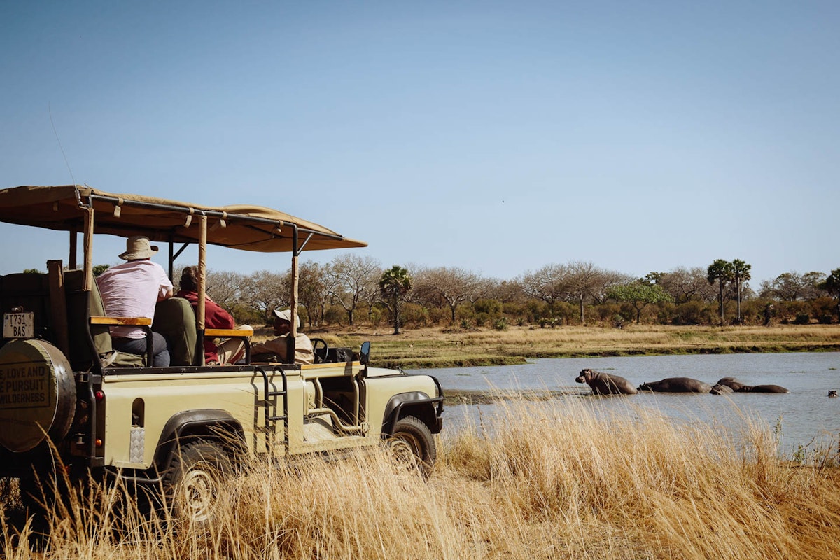 Lake Katavi National Park game drive with Boots in the Jungle Safaris