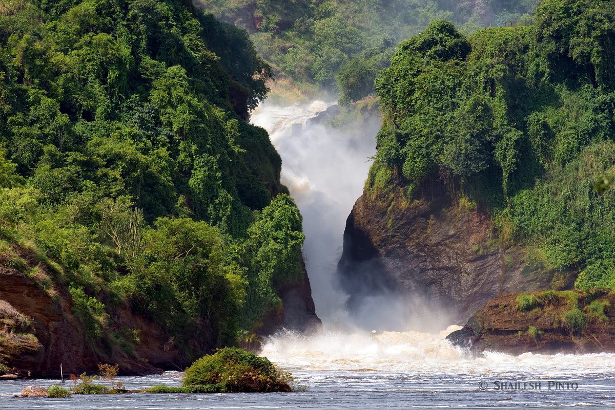 Murchison Falls National Park is Uganda’s largest and one of its most spectacular protected areas, offering some of the most rewarding wildlife experiences in East Africa. Located in northwestern Uganda, the park covers vast savannah landscapes, tropical forests, wetlands, and the famous Nile River.
