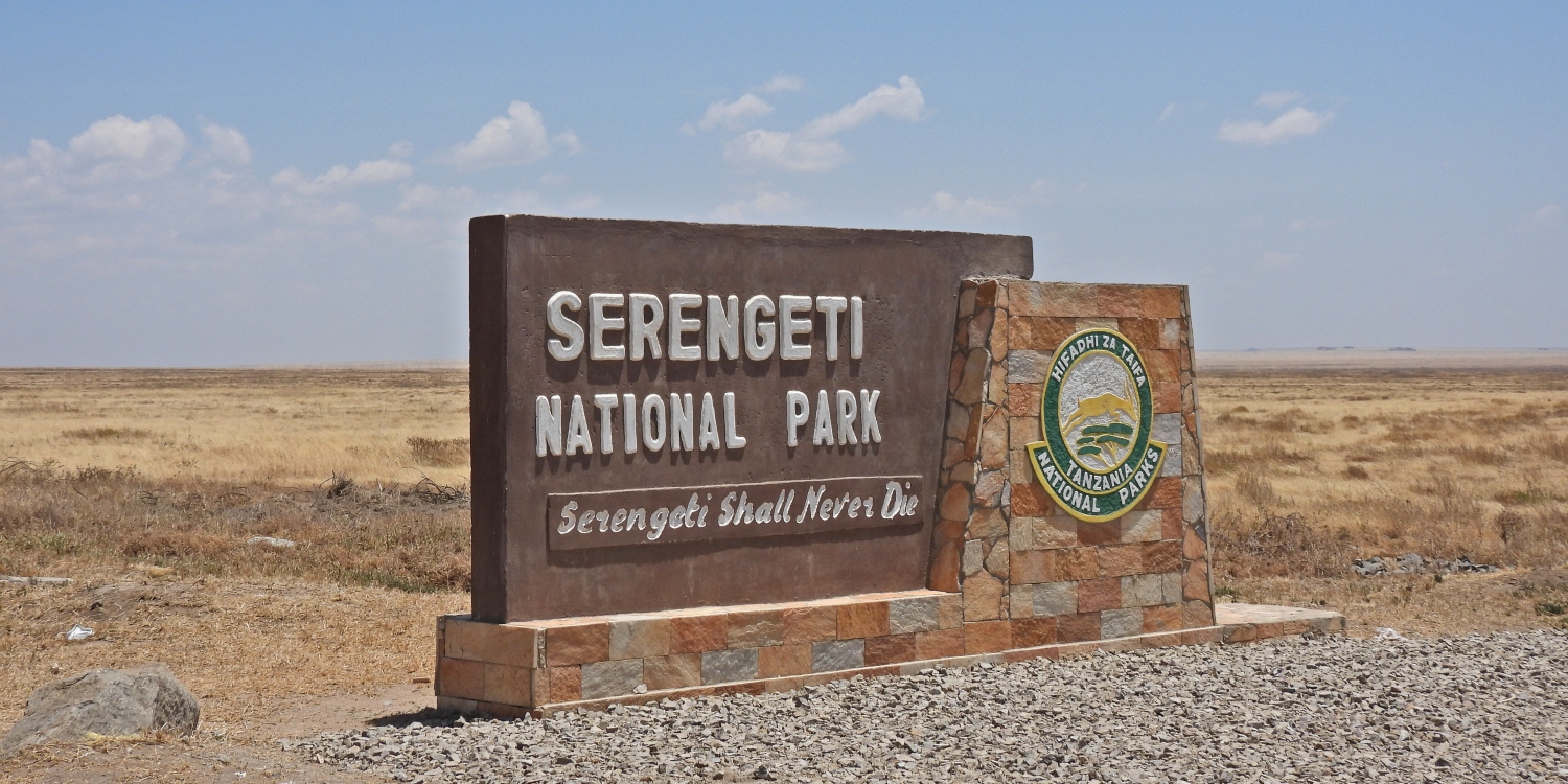 Serengeti National Park View
